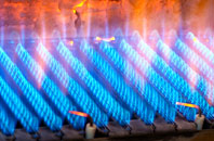 Rosedown gas fired boilers